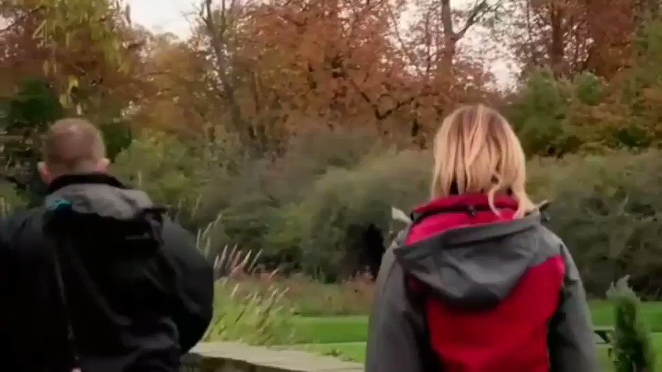 Otamendi and Stones walking to the changing rooms after the game