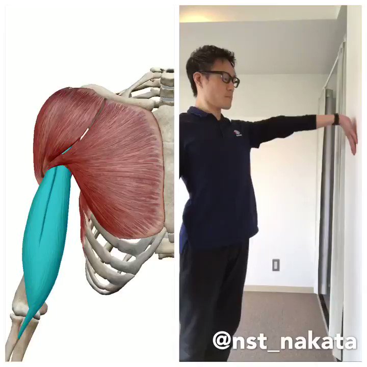 パソコン作業している人はぜひwwwこのストレッチめちゃくちゃ効きます！！