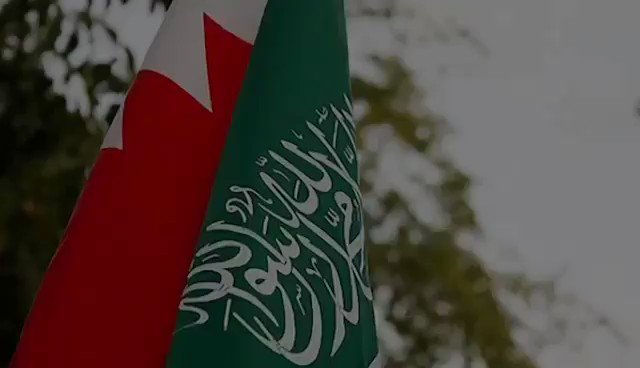 فيديو مُضمّن