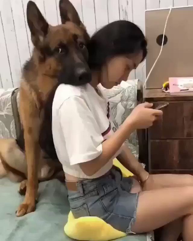 完全に守ってくれてる！かしこい犬だな～?かわいい！