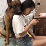 完全に守ってくれてる!かしこい犬だな～?かわいい!