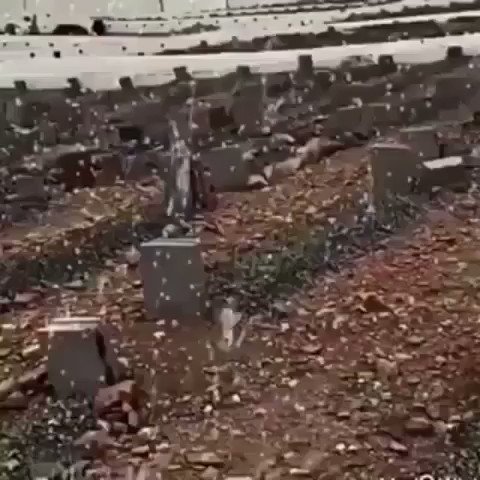 #فقيدي رحم الله جسده الذي امتلا طُهراً وغاب عن الدنيا بلمح البصر دون وداع اللهُم ارحمه اللهُم أذقه من النعيم ماوعدت به المؤمنين الصابرين اللهُم ارحمه واغفر له واجعله في نعيمٍ دائم غير مُنقطع ووسع مدخله ،يارب اجبر كسر قلوبنا بلُقياه في اعلى مراتب جنتك.