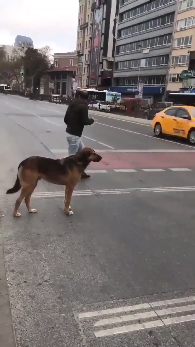 Şafak Malatya (@SafakSina1903) on Twitter photo 2019-04-06 16:19:06 Yorumsuz... Video kaynak: @bilio_muydunuz Yorumsuz... Video kaynak: @bilio_muydunuz