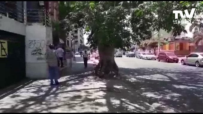 Embedded video
