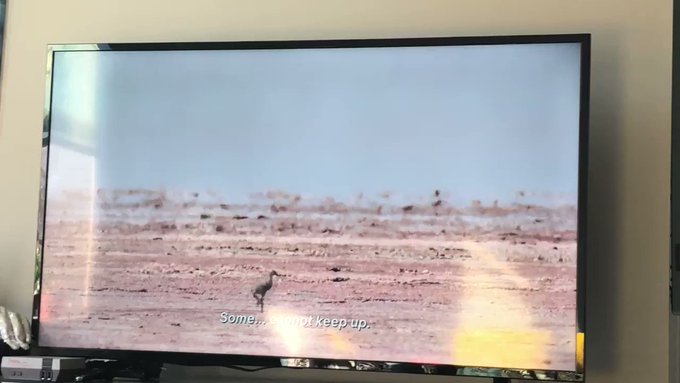 Embedded video