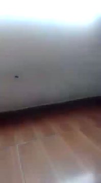 Vídeo incorporado