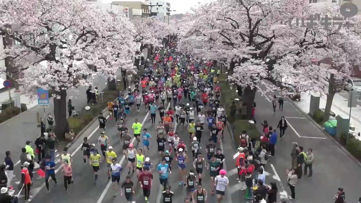 日立さくらロードレース 22 結果 速報 リザルト
