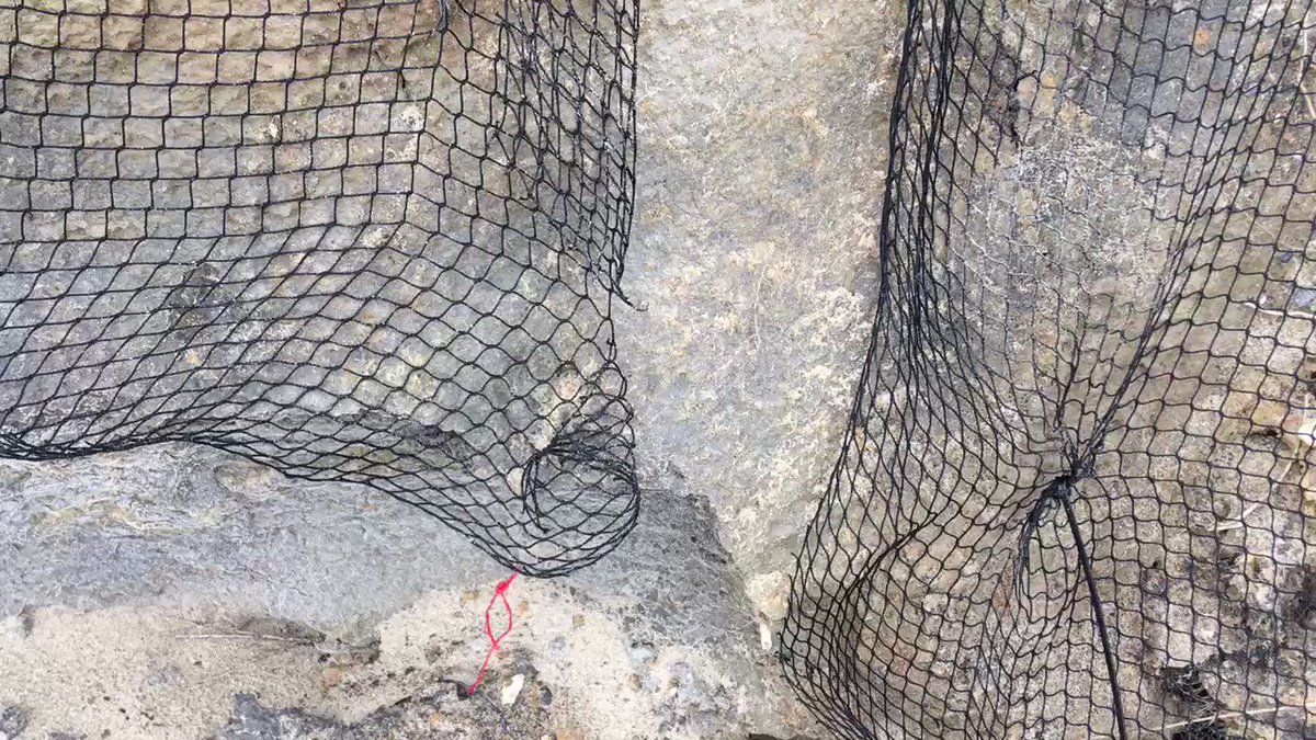 #CliffsofShame Who gets trapped in a net like that ? #Sandmartins prevented from nesting at #BactonSandscaping .@MarkAvery @ChrisGPackham @IoloWilliams2 @WildJustice_org