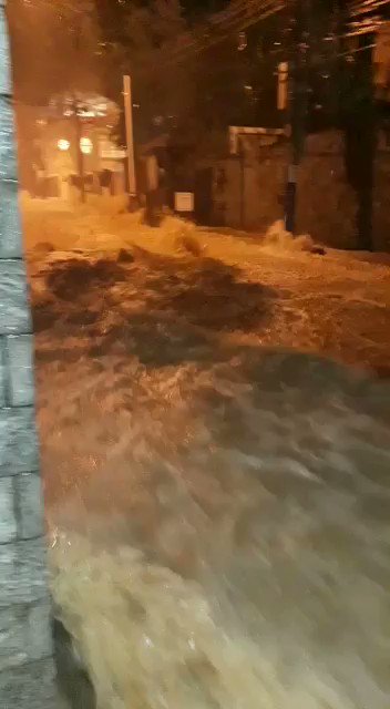 Vídeo incorporado
