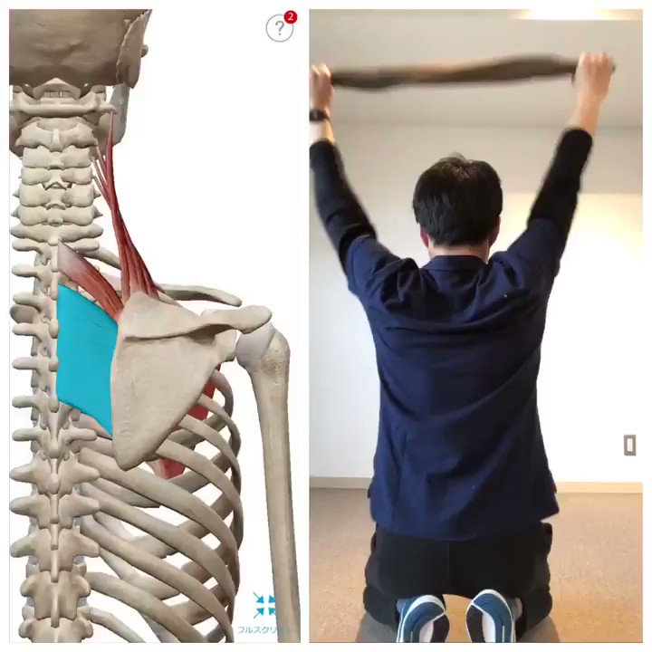 なぁさん ストレッチトレーナー 神戸 Nst Nakata さんのストレッチ動画 Togetter なぁさん ストレッチトレーナー 神戸 Nst Nakata さんのストレッチ動画 Togetter