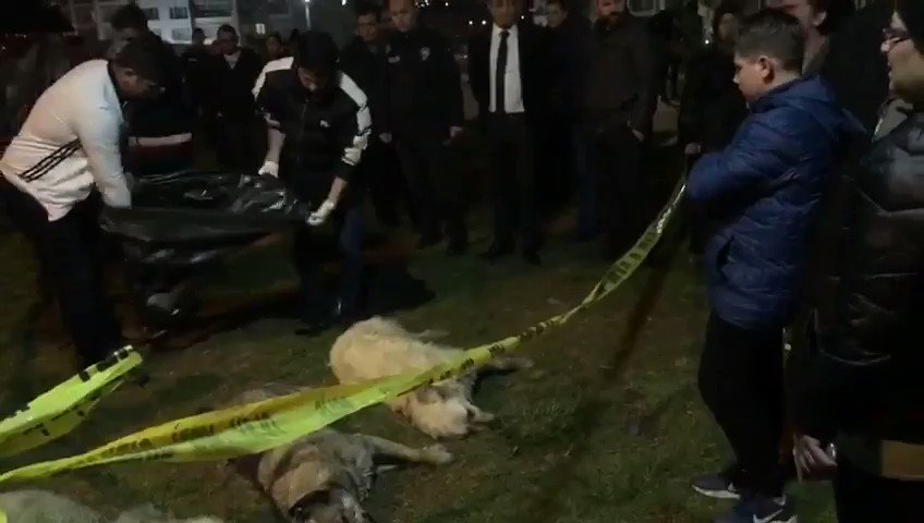 Her an yeni bir ceset haberi.
Tek isteği karnını doyurmak olan ve size güvenen o masumları, en büyük zaafları olan yiyecekle zehirlemek nasıl bir alçaklıktır! And olsun failini bulup hesabını soracağız!