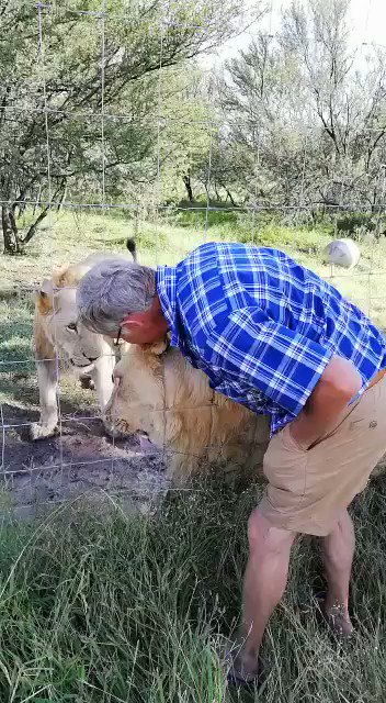 Ενσωματωμένο βίντεο