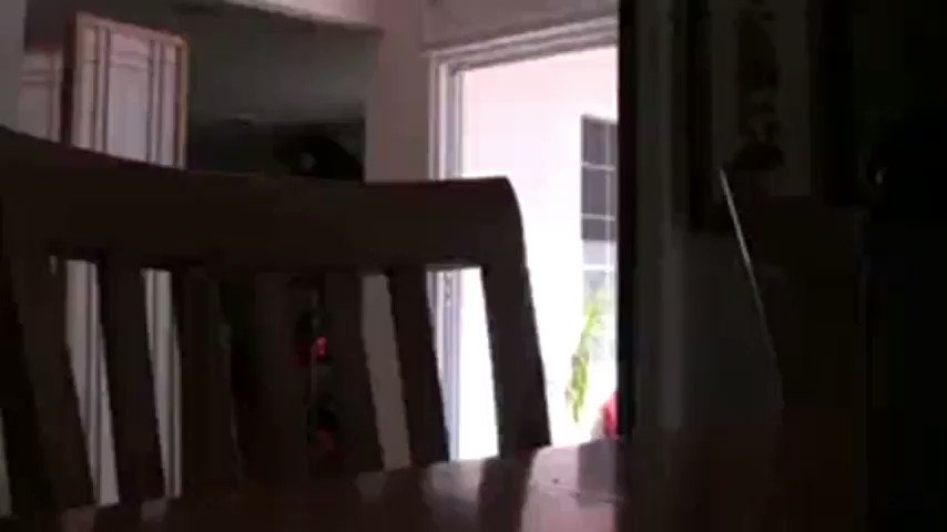 Blackracesex’s pics and videos