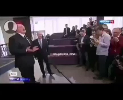 Embedded video