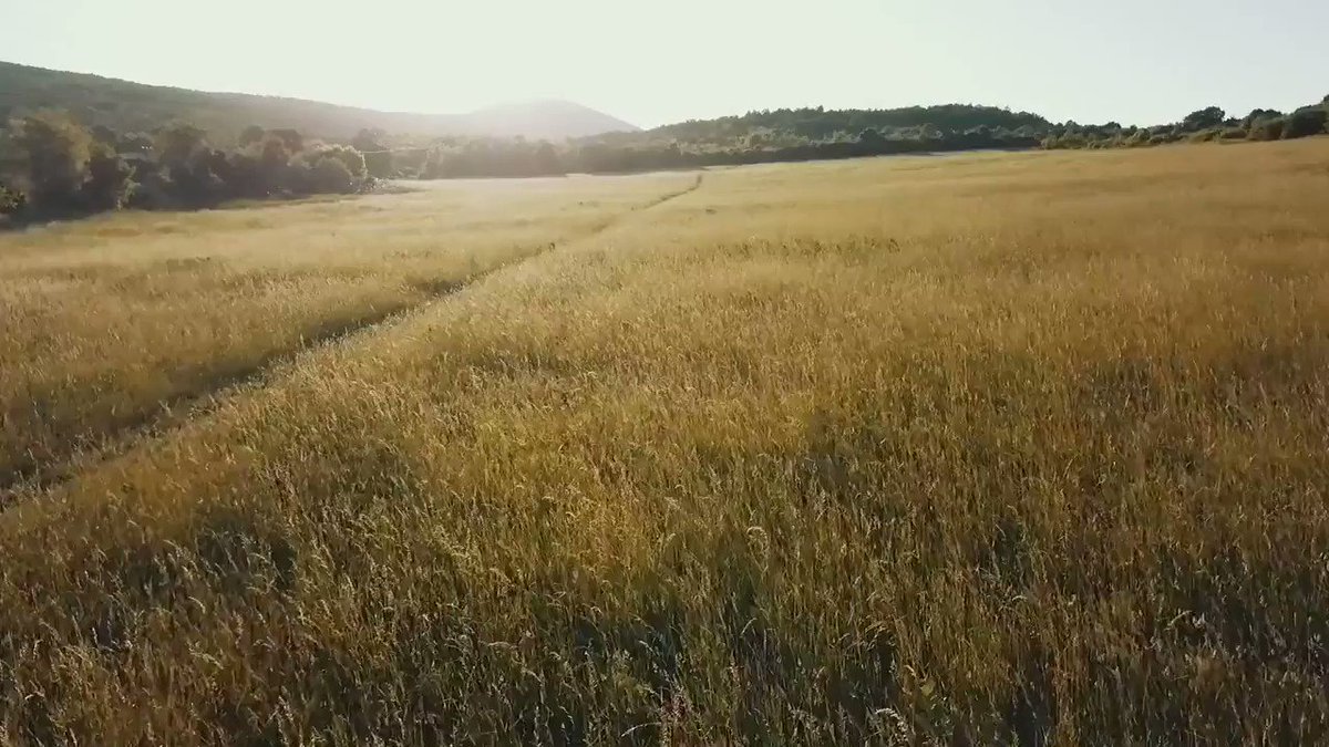 C'est nouveau et c'est Boursagri® ZAP ! Retrouvez chaque mois une sélection des évènements phares de l'équipe Boursagri ! #ZAP #agriculture #actualité