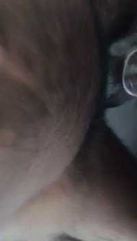 She Said Fuck The Neighbors, I cant stop #cumming 😏 Which 1 of you ladies tryna have an Outer body experience🍆💪🏽<a href="/tag/cumming"class="tags">#cumming</a><a href="/tag/bbc"class="tags"><span>#bbc</span></a><a href="/tag/creampie"class="tags"><span>#creampie</span></a><a href="/tag/interracial"class="tags"><span>#interracial</span></a><a href="/tag/cuckold"class="tags"><span>#cuckold</span></a><a href="/tag/squirt"class="tags"><span>#squirt</span></a><a href="/tag/bigblackcock"class="tags"><span>#bigblackcock</span></a>