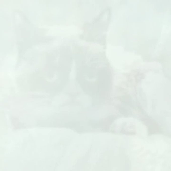 Video insertado