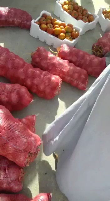 مصريين اليوم في سوق الجت في الاحساء. يعتدون على ولد البلد و يرمون خضرته على الارض بحجة اخذ المبسط. اين المسؤل
@SaudiNews50 @Alahssa @almubarrazcity1 @alhasamunicipal