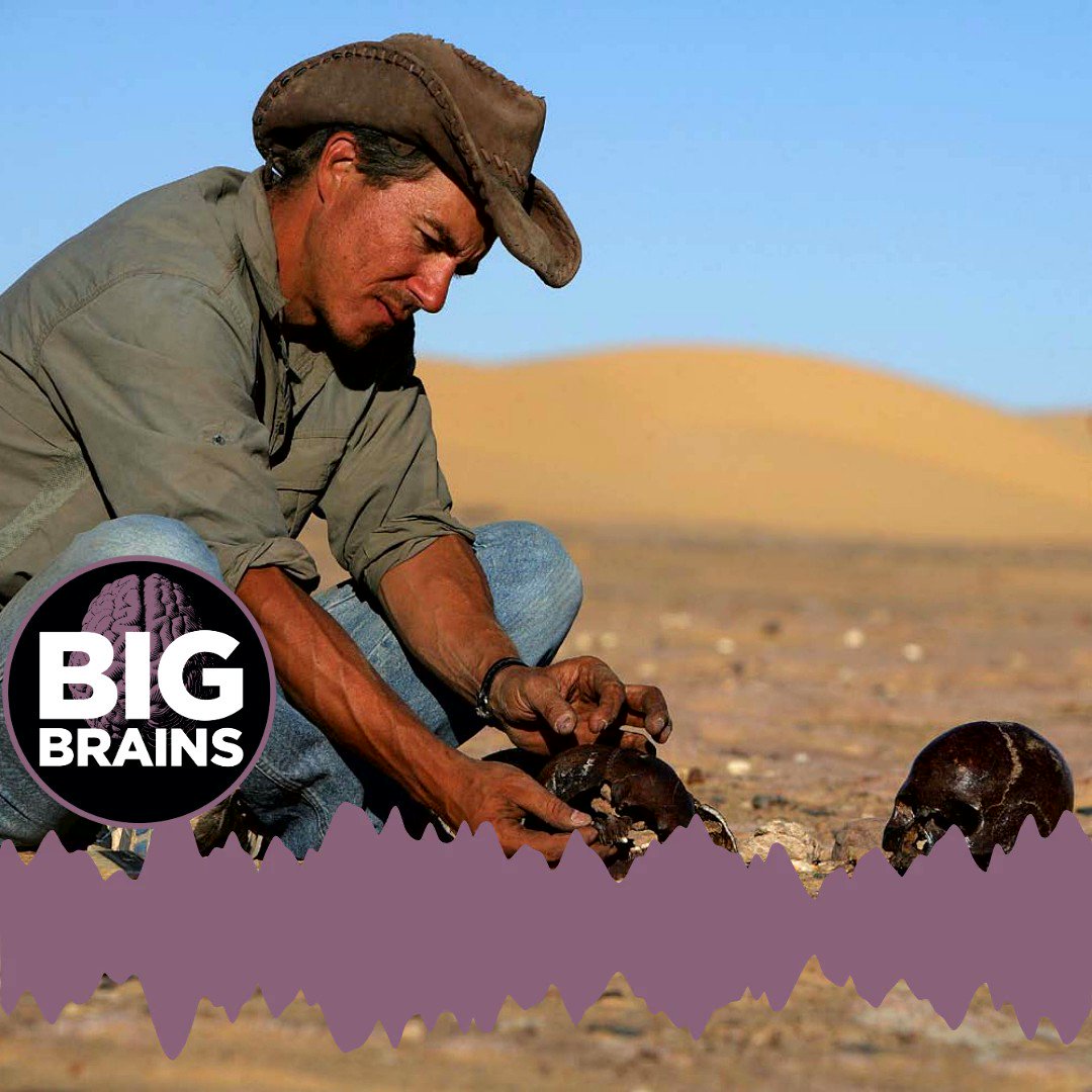Adventuring with Purpose: How a #UChicago dinosaur hunter's lifelong mission transformed when he stumbled upon the rarest of discoveries—fossils of an undiscovered human society in Niger.
Podcast: http://ms.spr.ly/6015TGiOV
