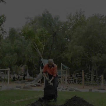 Embedded video