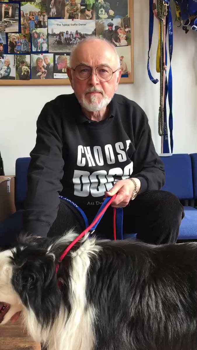 .@AllDogsMatter wonderful to meet Buzz today. He’s a beautiful and will be a great friend. He needs a bit of patience and TLC. Well done team @AllDogsMatter