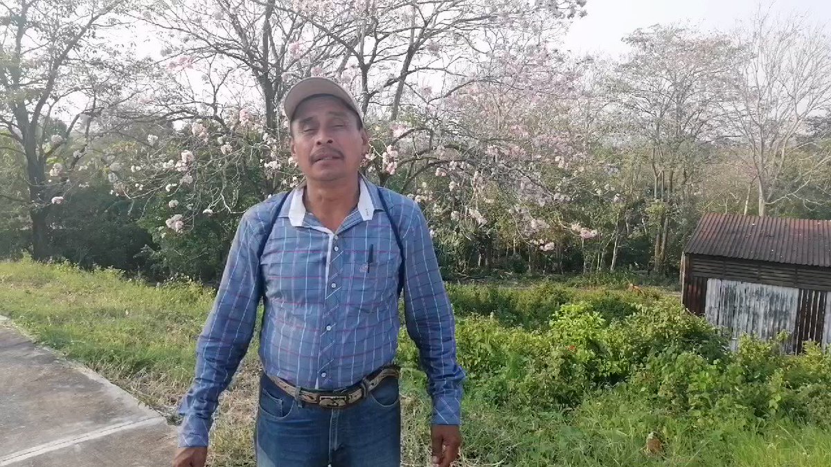 El comisariado de #Parajes en #Huejutla, Anastasio Tiburcio, agradece al Gobernador @omarfayad todos los apoyos que ha brindado a la #HuastecaHidalguense a través de la #SEDAGROH para impulsar el desarrollo de las familias del sector primario. 🐟👨🌾🌾🐂👩🌾🌱🐑🍊🌽🥑☕🚜
@Car_Muniz