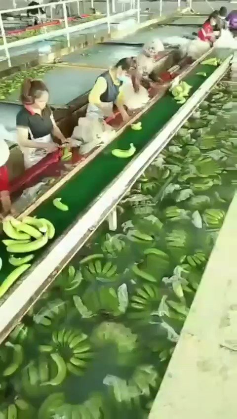 謎の液体に漬けて輸出する中国産の農作物