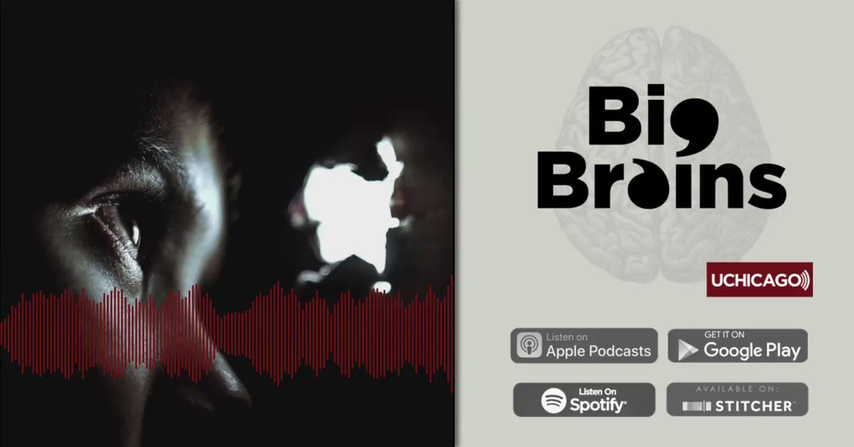 Claudia Flores discusses her report with @ACLU on the abuse of migrant children—along with the history and future of immigration policy—on @BigBrainsUC:
http://ms.spr.ly/6010TGUYO #UChicago