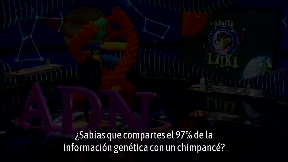 Cuántos genes tenemos? Cómo de importante es la genética? Y la epigenética? Y la interacción con el entorno? Los pelirrojos son mutantes? Y los que no son pelirrojos también? Del ADN, de genes y de las famosas #CRISPR hablaremos el próximo lunes a las 22:00 en @orbitalaika_tve