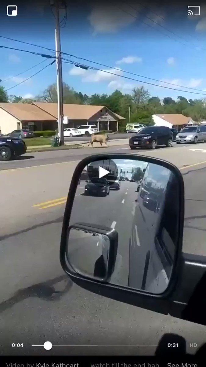Only in Texas *WATCH TIL THE END*