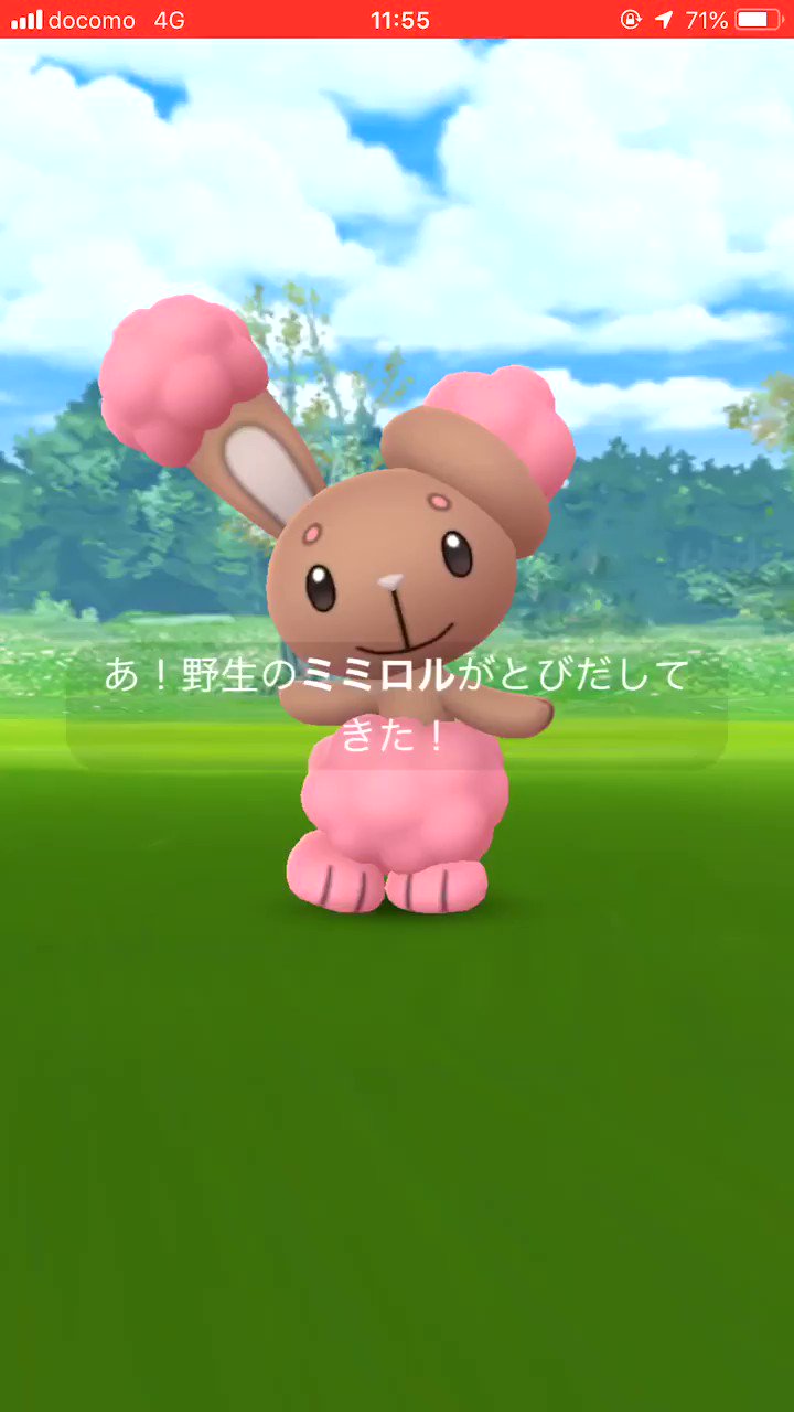 色違いミミロル Twitter Search Twitter