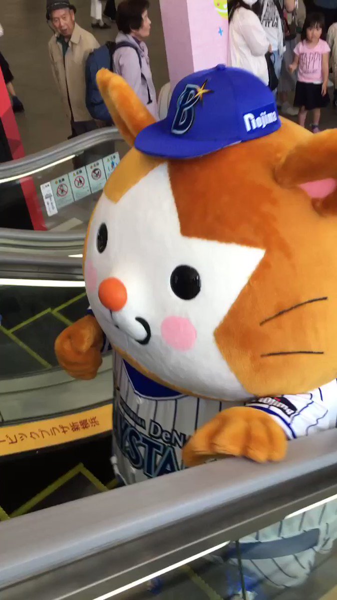 ベイスターズのスターマンはたぬきなの スターマンコーデやグッズもかわいい ベイスターズ女子 ベイスターズのスターマンはたぬきなの スターマンコーデやグッズもかわいい ベイスターズ女子