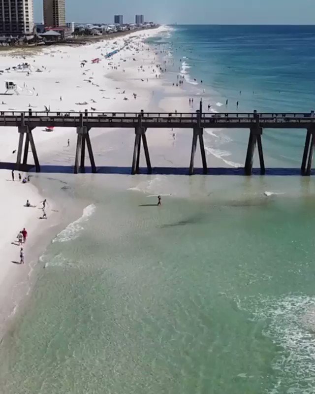 These sugar-white sands are giving us a sweet tooth! 🍭 @VisitPensacola #LoveFL
📽️ : IGER pensacolavibes in Pensacola Beach