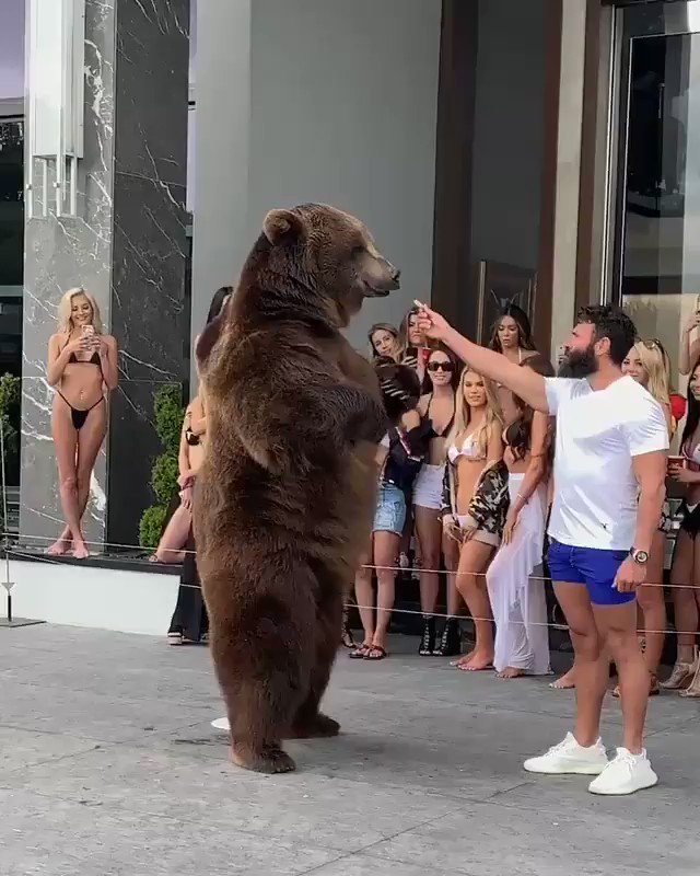 Bear has returned Home and Chilling,
It's not Coming any time Soon!
#bitcoinbull #crypto
#cryptomarket #Bulls