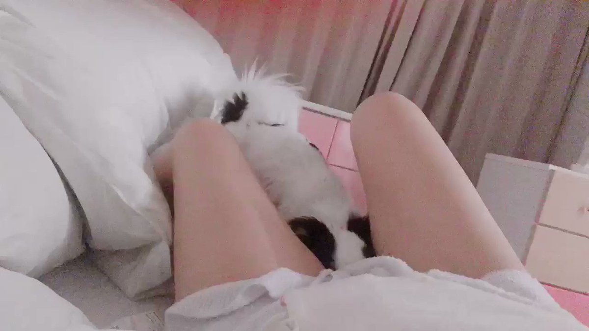 今日のおせち part1

※おせちは女の子です。