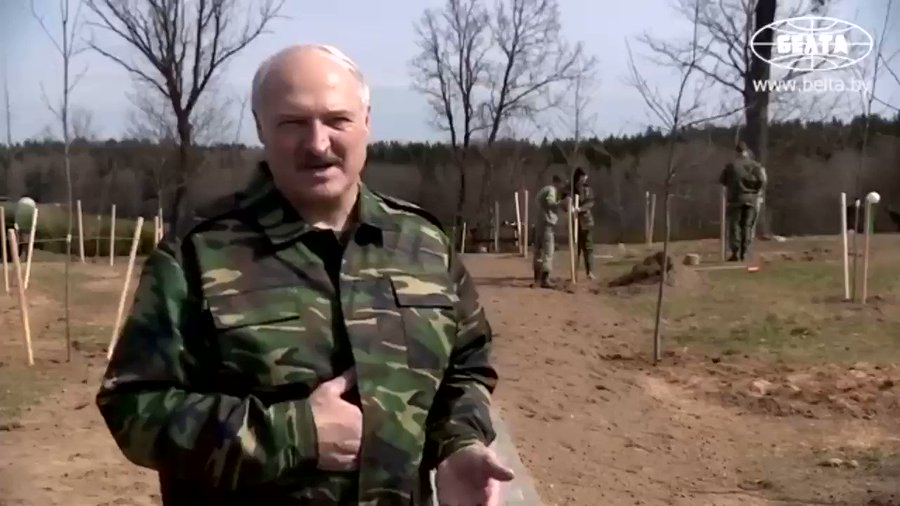 Вбудоване відео