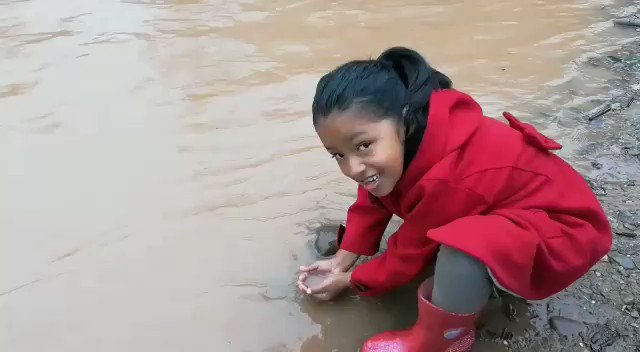 Video insertado