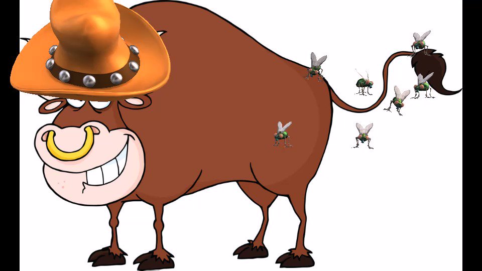 Bulls For Sale. Yearling & 2 year old Hereford bulls. Semen tested. #ag #agchat #alberta #saskag #farm #agtwitter #cdnag #westcdnag #ontag #mbag #bulls #yearlings #hereford #forsale
https://bit.ly/2GFZgwz ☎