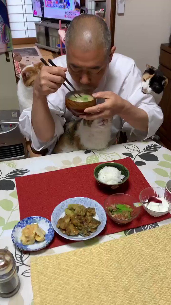 住職さんの幸せな朝ごはんｗｗｗ猫に囲まれ？埋もれる？wｗｗ