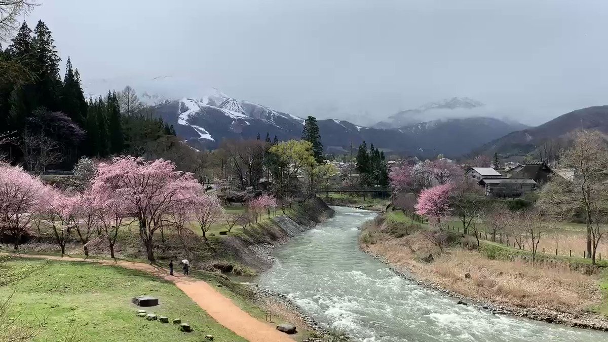 白馬村 大出公園の桜の様子 19 4 26 都会より田舎が好き 白馬村 大出公園の桜の様子 19 4 26 都会より田舎が好き
