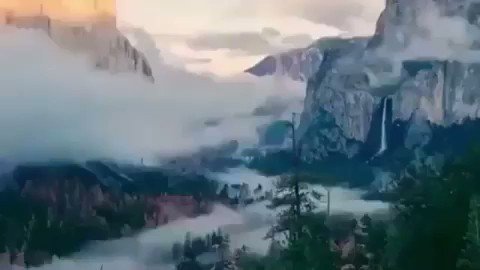 #فقيدي لا حزن يشبه حزن القلب على الميت
ولا شوق أصدق من الشوق للميت ،
اللهم ارحم والدي بقدر ماكان وجع رحيله أعظم من أن يتحمله بكاء