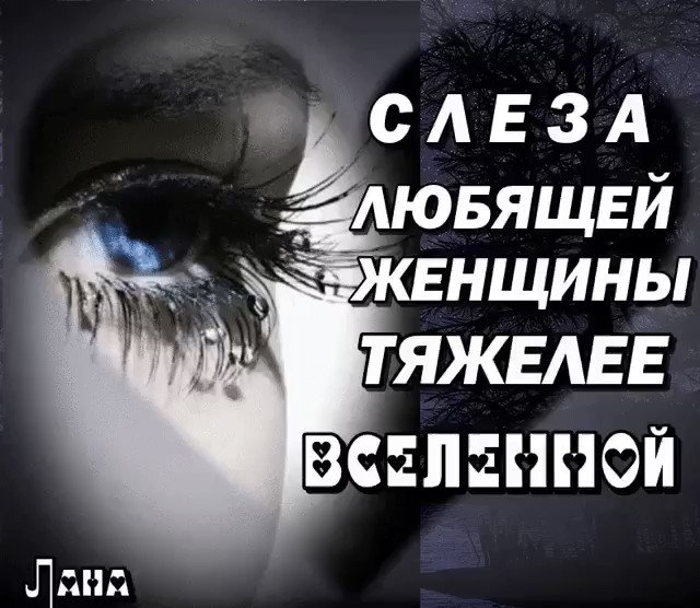 Картинки со слезами и с надписями, коровой прикольные картинки