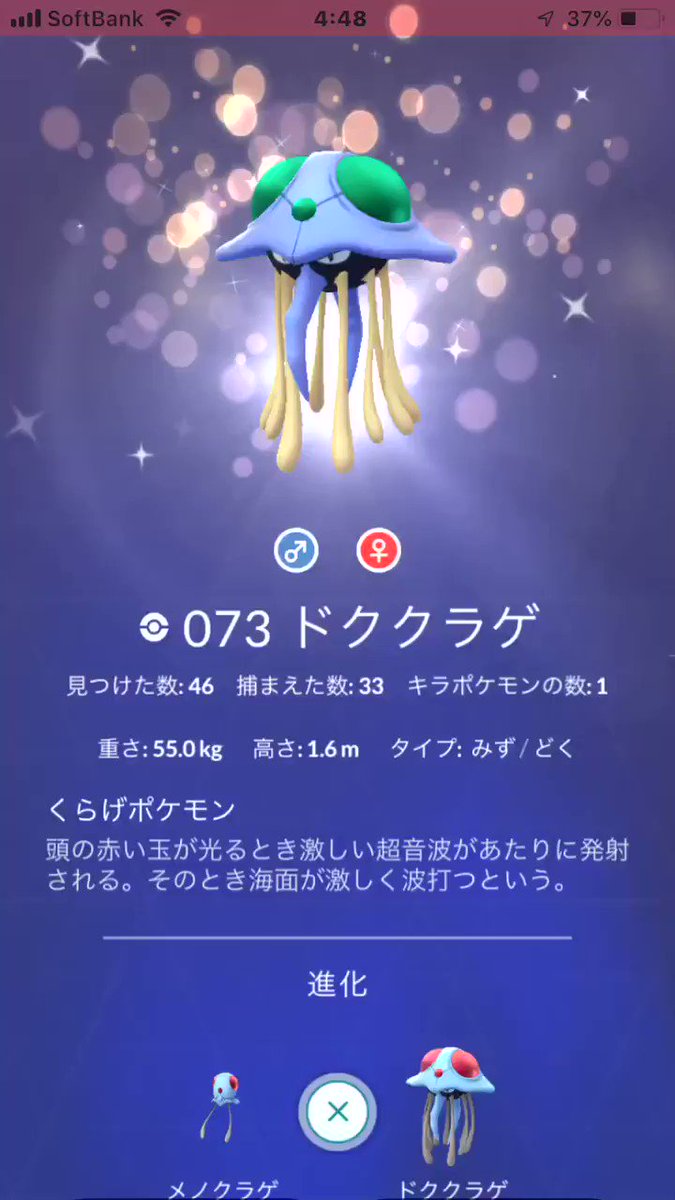 ドククラゲ Twitter Search Twitter