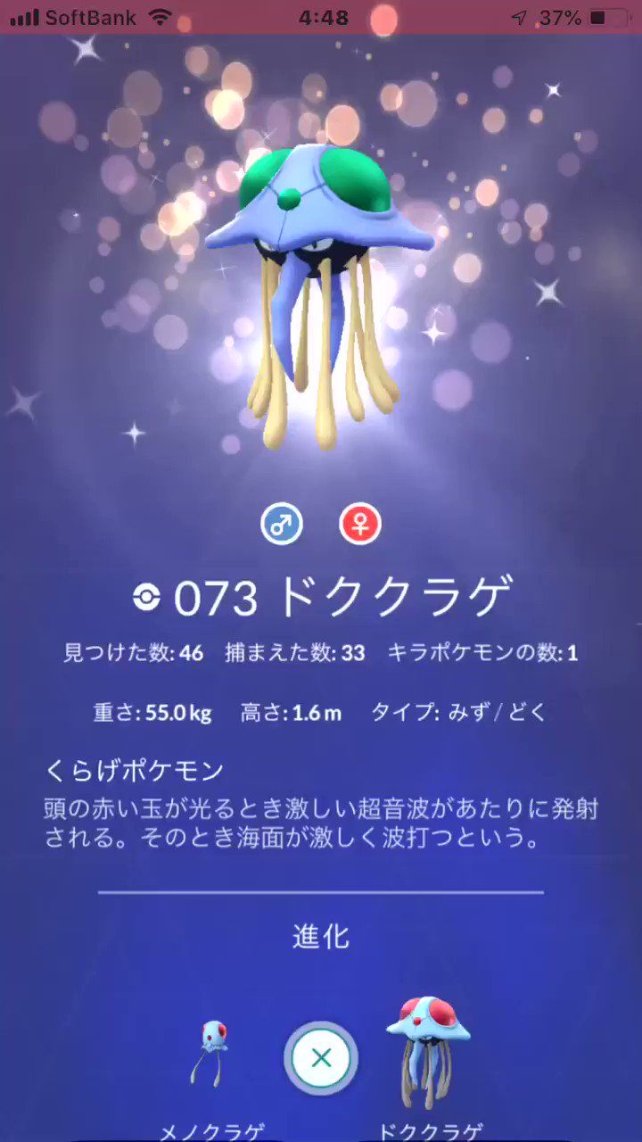 ドククラゲ Twitter Search Twitter