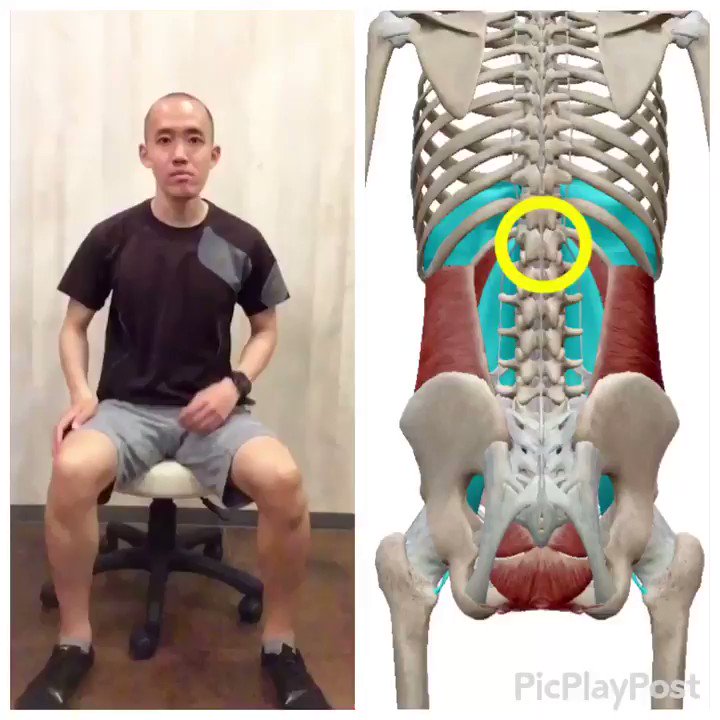 腰痛の人はみんな 脇腹 がカタい バズる10秒ストレッチ 記事詳細 Infoseekニュース