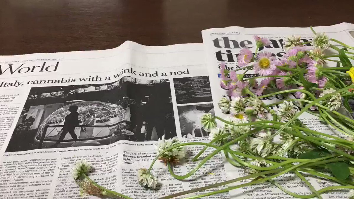 Inori 花冠の作り方です シロツメクサ以外でもハルジオンなど茎のしなやかな花は編むことができます 茎が折れやすい花は次の花で巻き留めたり 最後に差し込んだりして使うことができます 最後は輪にしてシロツメクサでくるくる巻いて すでにある編み目 Inori 花冠の作り方です シロツメクサ以外でもハルジオンなど茎のしなやかな花は編むことができます 茎が折れやすい花は次の花で巻き留めたり 最後に差し込んだりして使うことができます 最後は輪にしてシロツメクサでくるくる巻いて すでにある編み目