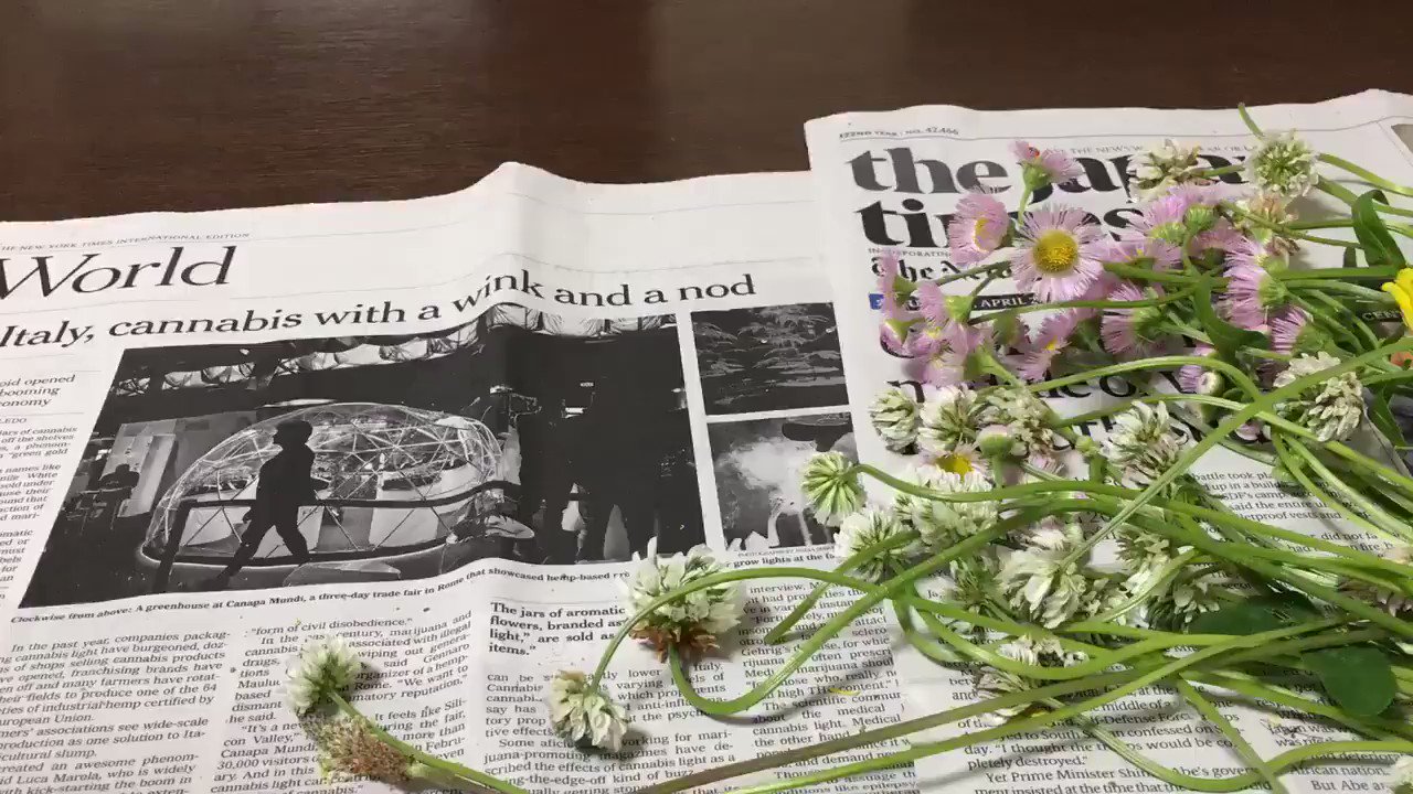 Inori 花冠の作り方です シロツメクサ以外でもハルジオンなど茎のしなやかな花は編むことができます 茎が折れやすい花は次の花で巻き留めたり 最後に差し込んだりして使うことができます 最後は輪にしてシロツメクサでくるくる巻いて すでにある編み目