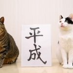 ありがとう『平成』宜しく『令和』ニャンとも可愛い?