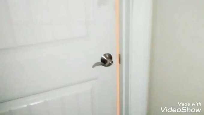 Harley & Mr.J’s pics and videos