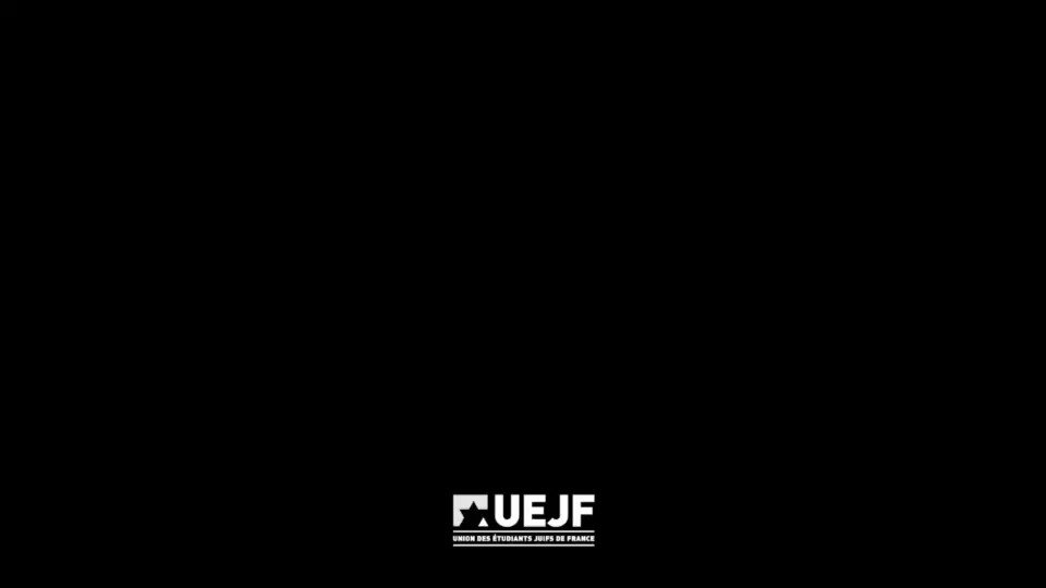 Le président et des militants de l'UEJF agressés physiquement par le @RNational_off à Metz - 1er mai 2019
Communiqué de l'@uejf : https://urlz.fr/9DYO